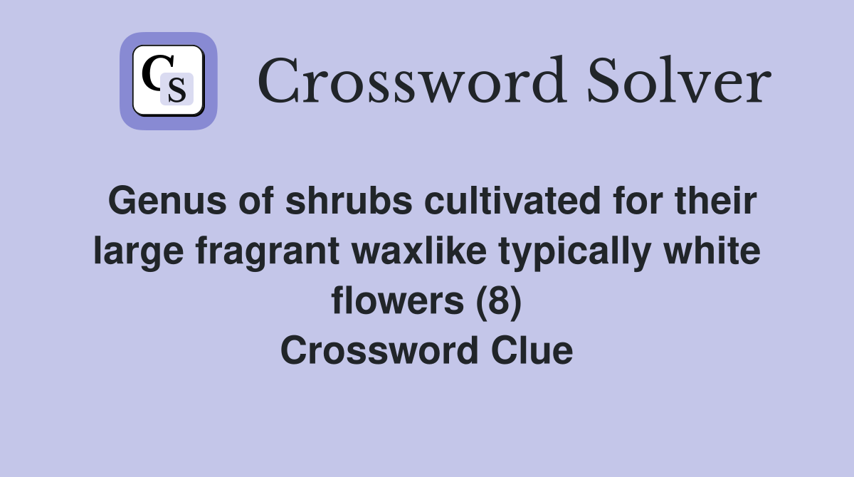 Genus of shrubs cultivated for their large fragrant waxlike typically